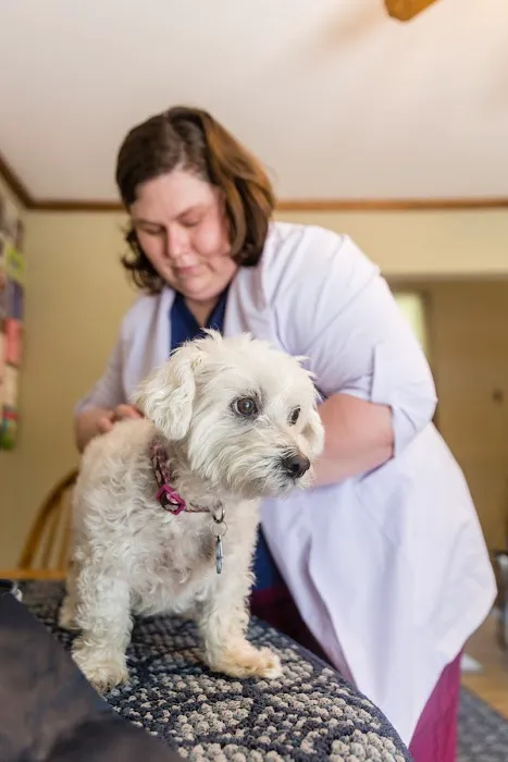 Ondera Veterinary Services Picture 3