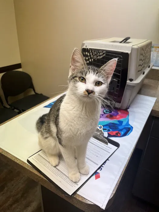 Sutton Road Animal Hospital Picture 1