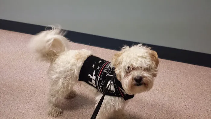 Sutton Road Animal Hospital Picture 4