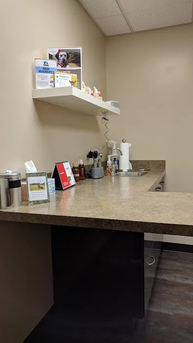 Sutton Road Animal Hospital Picture 7