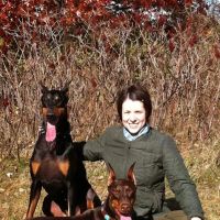 St. Charles Veterinary Clinic: Dr. Liv Kismartoni ico