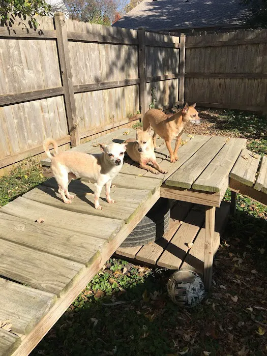 St. Charles Veterinary Clinic Picture 3