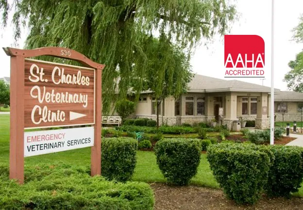 St. Charles Veterinary Clinic Picture 10
