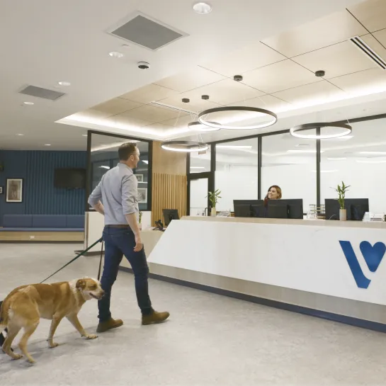 Thrive Pet Healthcare Specialists - Hoffman Estates Picture 9