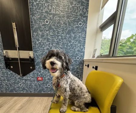 Dermatology for Animals - Hoffman Estates