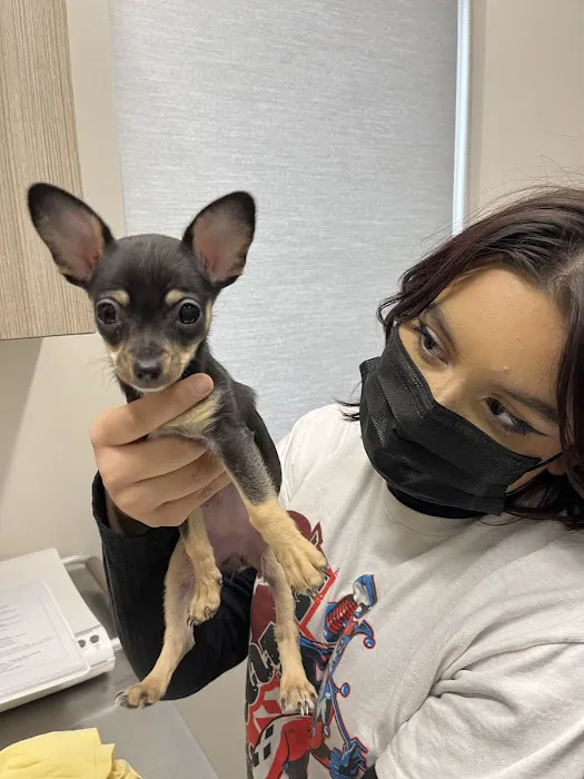 Elgin Animal Clinic Picture 1