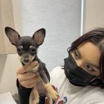 Elgin Animal Clinic