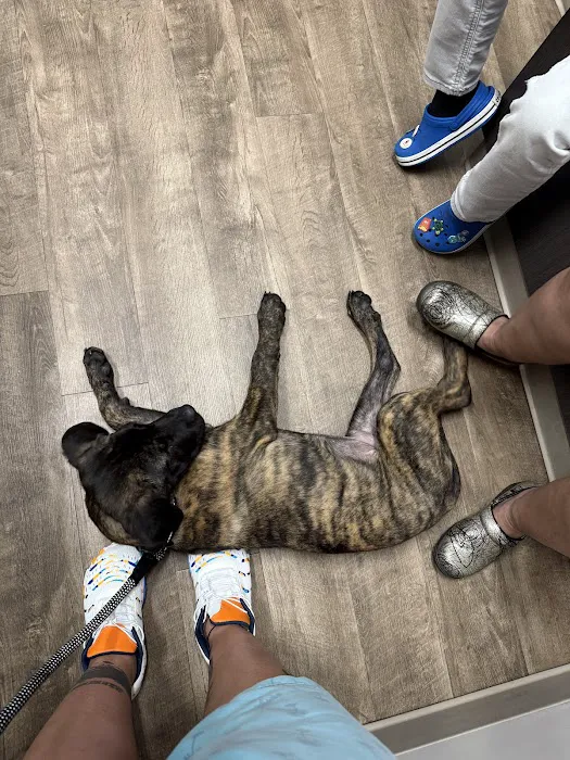 Elgin Animal Clinic Picture 9