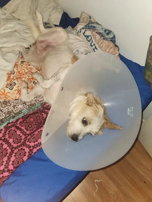 Elgin Animal Clinic Picture 8
