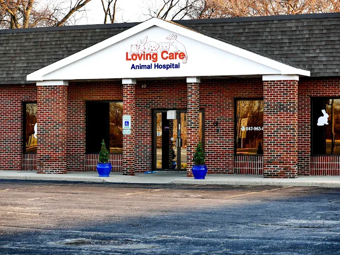 Loving Care Animal Hospital Picture 1