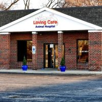 Loving Care Animal Hospital ico
