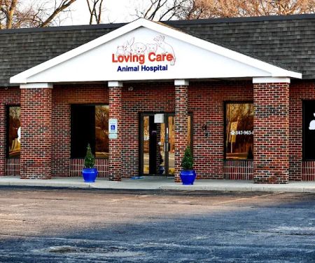 Loving Care Animal Hospital