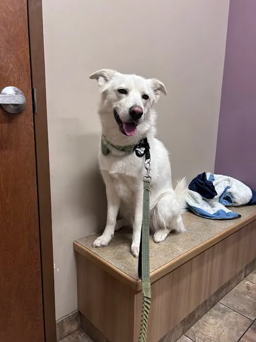 Loving Care Animal Hospital Picture 5