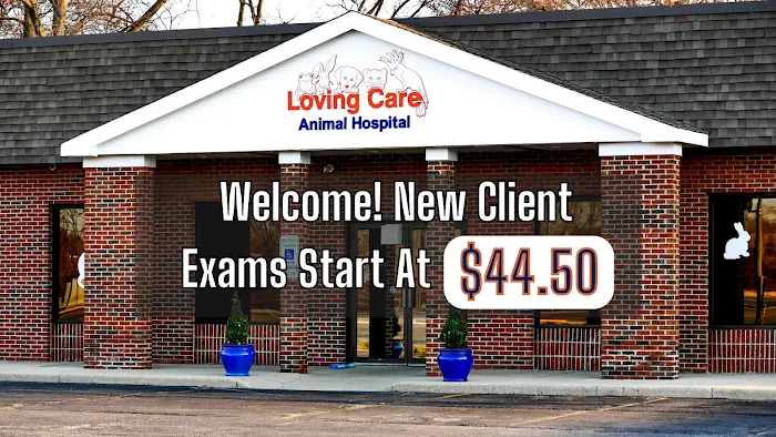 Loving Care Animal Hospital Picture 10