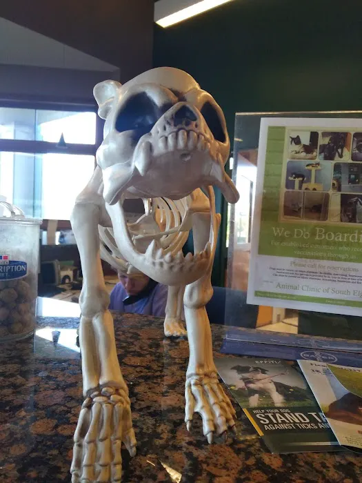 Animal Clinic of South Elgin Picture 2