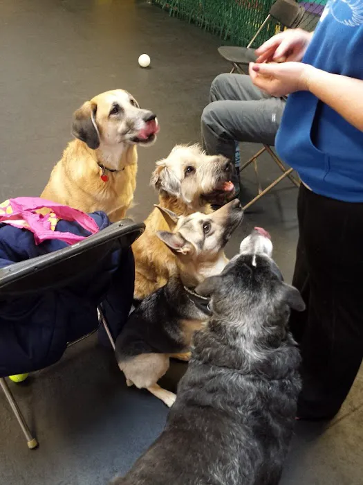 Wheeling Animal Hospital and Pet Resort Picture 2