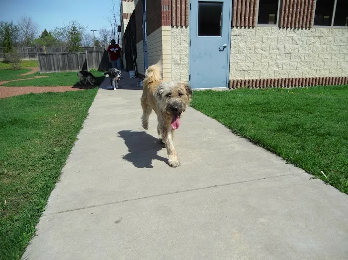 Wheeling Animal Hospital and Pet Resort Picture 7