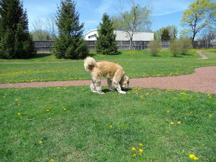 Wheeling Animal Hospital and Pet Resort Picture 4