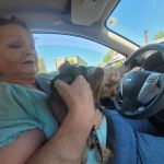 Preiser Animal Hospital