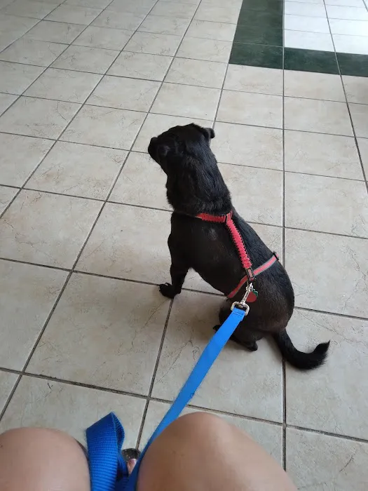 Animal Health Clinic-Wheeling Picture 1