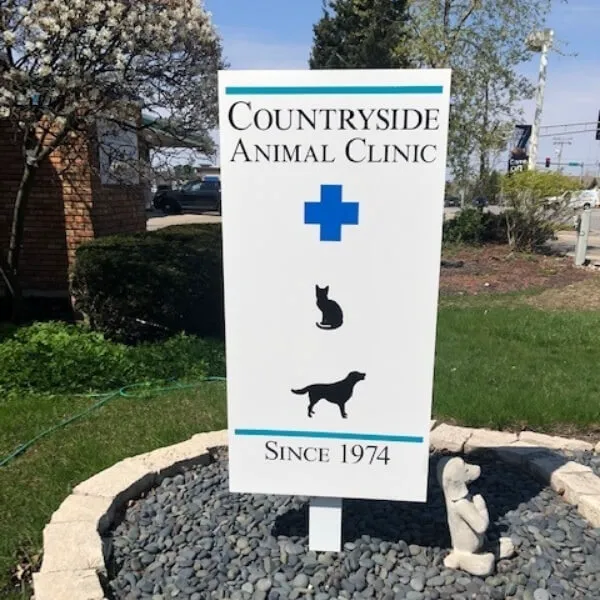 Countryside Animal Clinic PC Picture 2