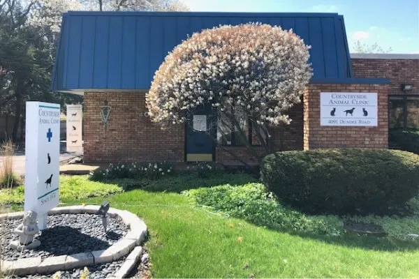 Countryside Animal Clinic PC Picture 4