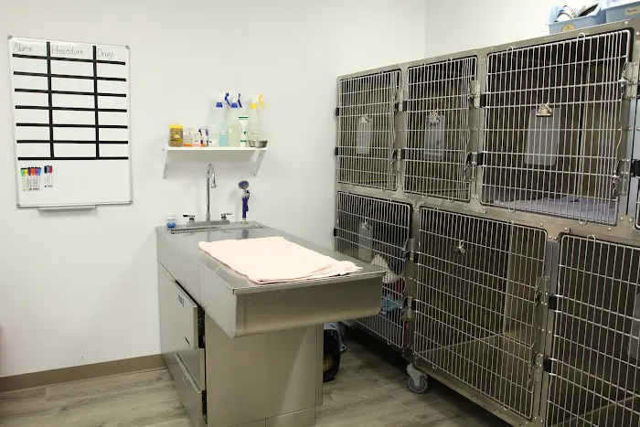 Kohn Animal Hospital Picture 3