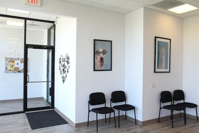 Kohn Animal Hospital Picture 1