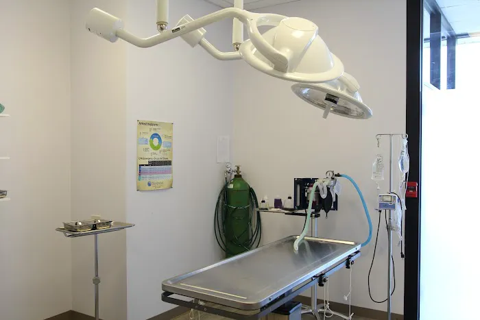 Kohn Animal Hospital Picture 9