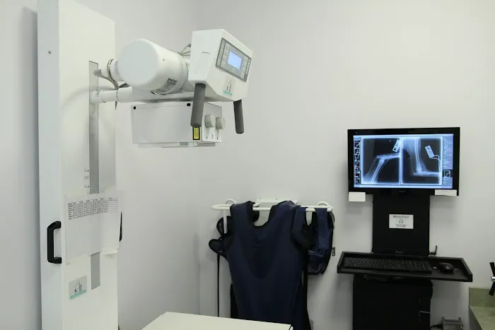 Kohn Animal Hospital Picture 10