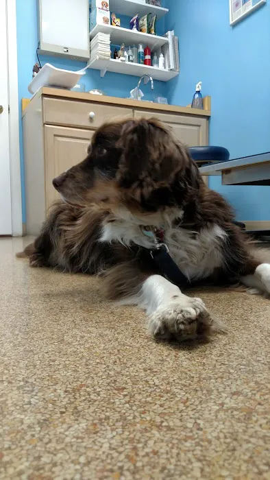 Country Court Animal Hospital Picture 2