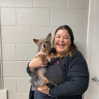 Buffalo Grove Animal Hospital ico