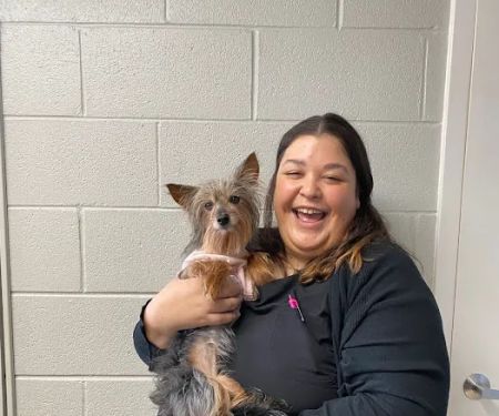 Buffalo Grove Animal Hospital