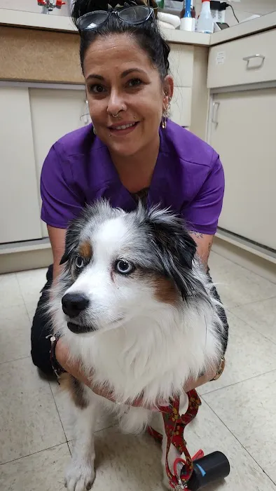 Buffalo Grove Animal Hospital Picture 5