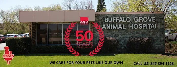 Buffalo Grove Animal Hospital Picture 4