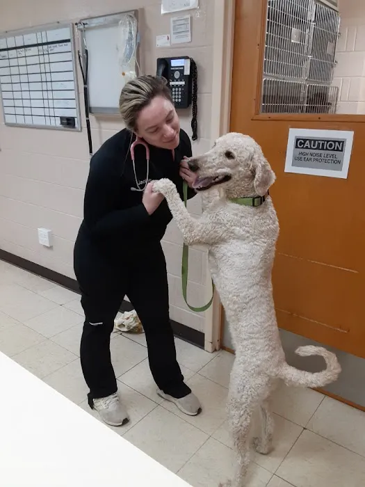 Buffalo Grove Animal Hospital Picture 6