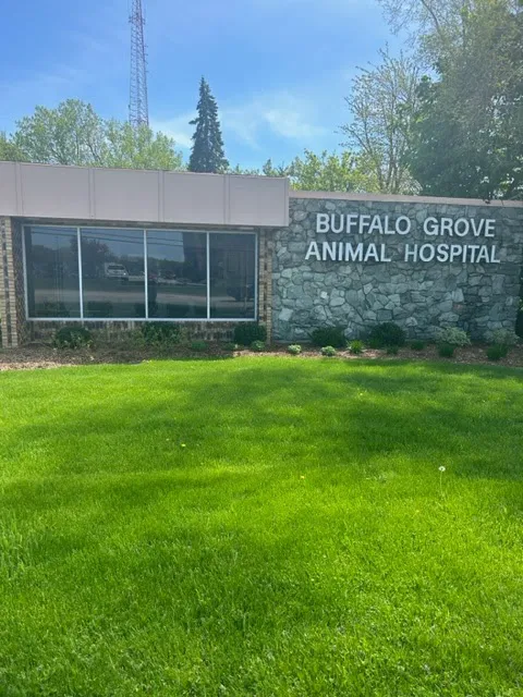 Buffalo Grove Animal Hospital Picture 9