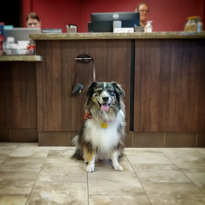 North Shore Family Pet Hospital Picture 8