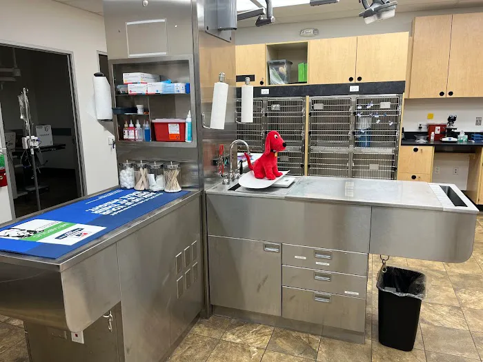 EVS Pet Urgent Care of Northbrook Picture 2