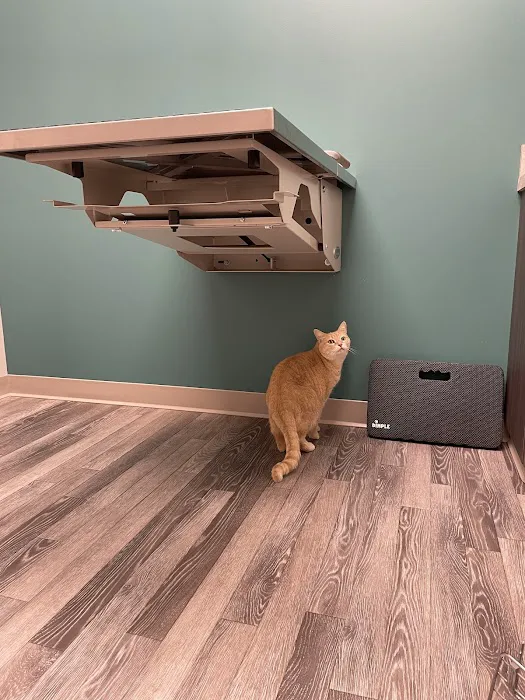 Highland Park Veterinary Clinic Picture 2