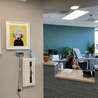 Highland Park Veterinary Clinic ico