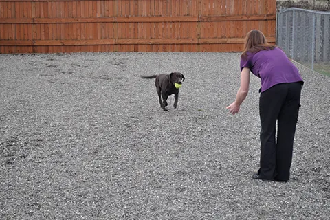 Cascade Veterinary Center, PS Picture 10