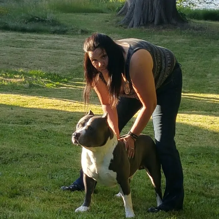 VCA Animal Medical Center Picture 2