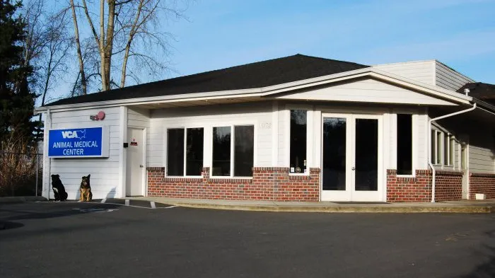 VCA Animal Medical Center Picture 10