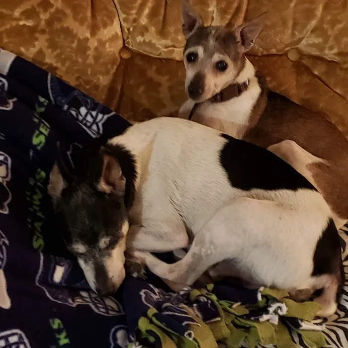 Marysville Veterinary Hospital Picture 8