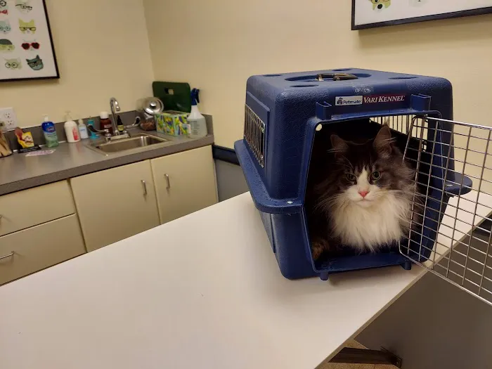 Marysville Veterinary Hospital Picture 6