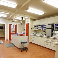 Animal Hospital By the Sea: Dieden Jean DVM ico