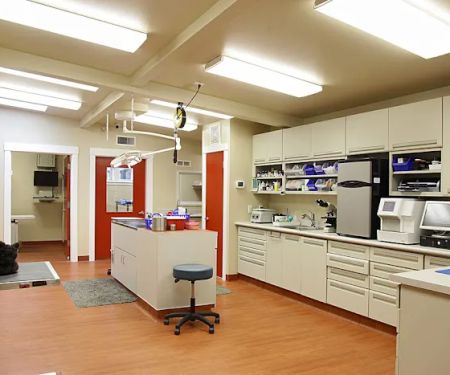 Animal Hospital By the Sea: Dieden Jean DVM