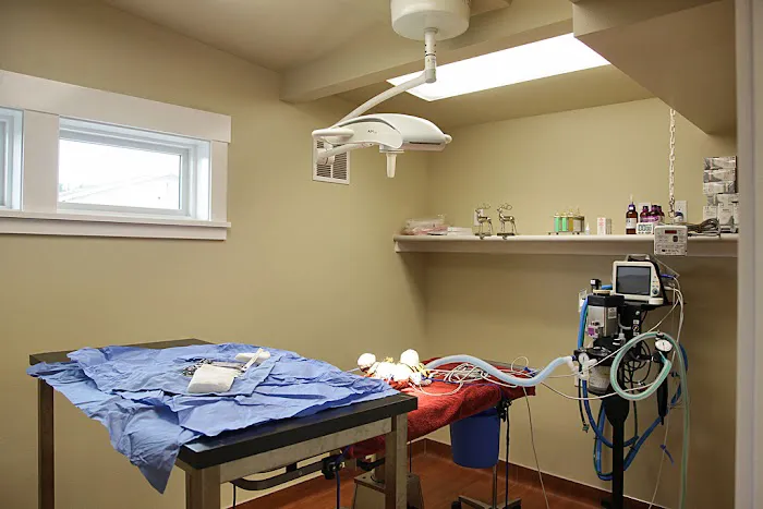 Animal Hospital By the Sea: Dieden Jean DVM Picture 4