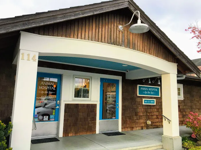 Animal Hospital By the Sea: Dieden Jean DVM Picture 3